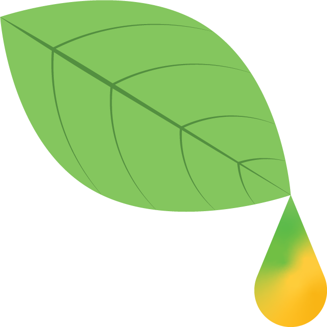 New Dawn Aromatics Logo